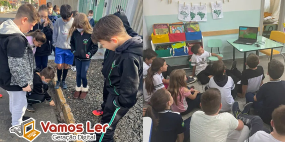 Estudo de formigueiro próximo, vídeo e textos auxiliaram aula