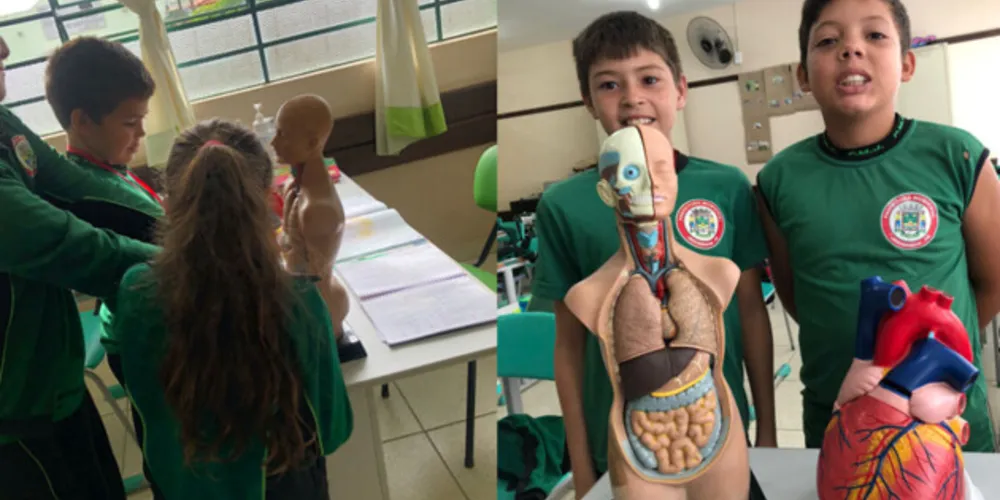 Materiais concretos ajudaram a elucidar melhor o estudo do organismo