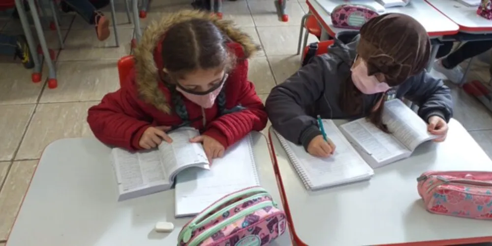 Conteúdos contribuíram para amplo aprendizado dos alunos