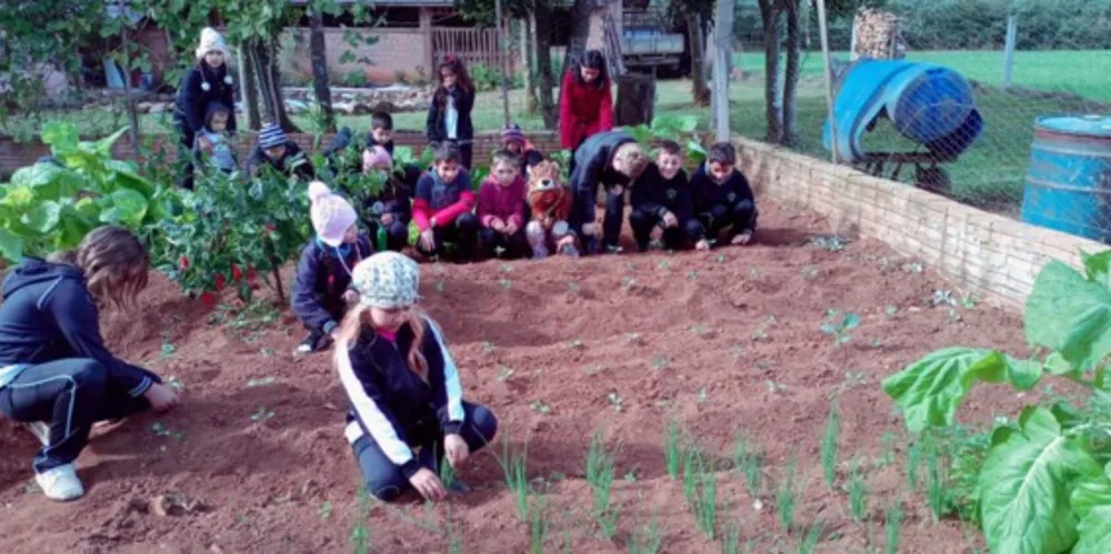 Fotos mostram a importância da temática aplicada junto aos alunos e sua abrangência