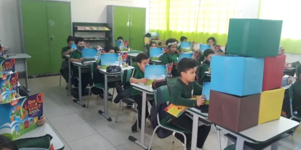 Diferentes métodos compuseram aula ambiental