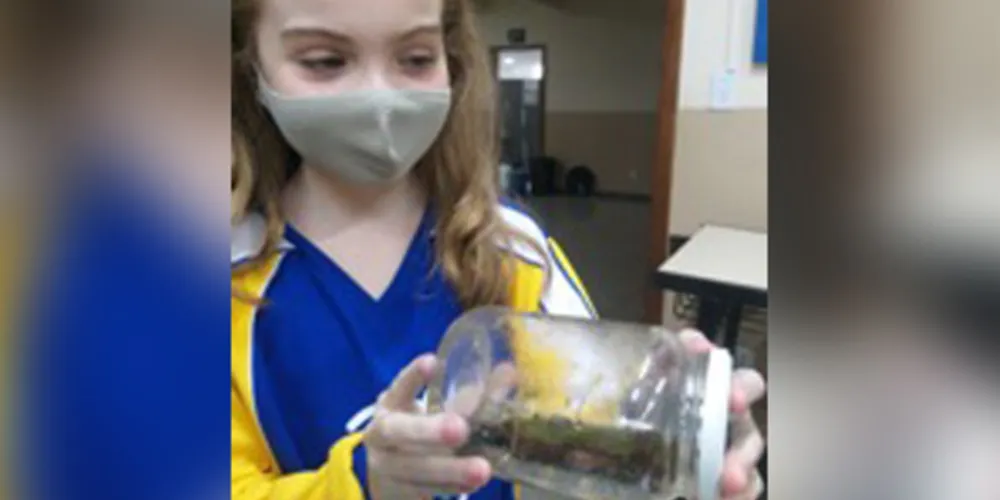 Alunos acompanharam periodicamente o ambiente em vidro