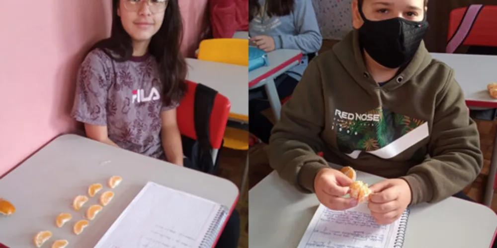 Fruta da estação permitiu que estudo tivesse um método mais assertivo