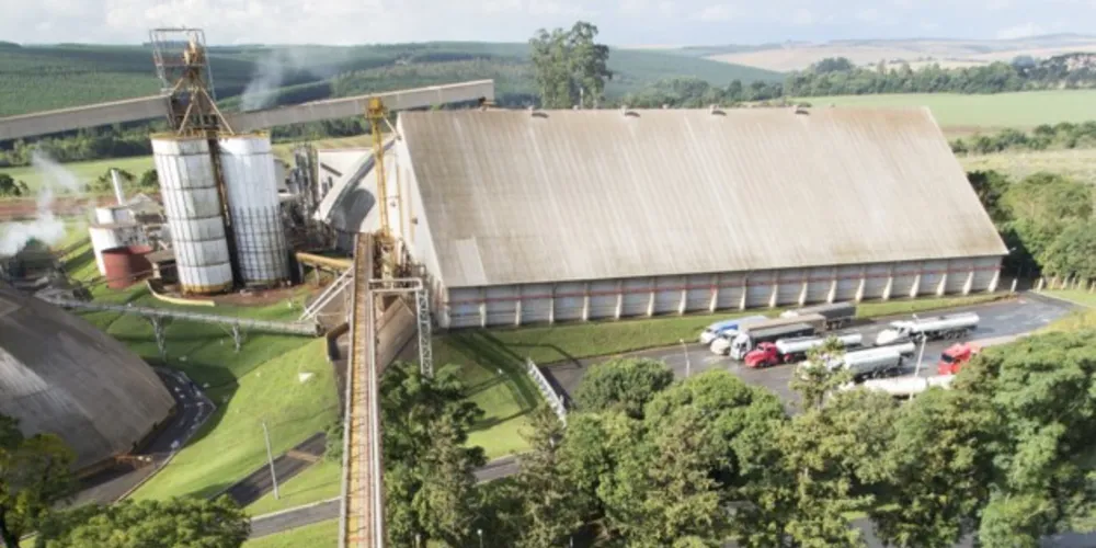 As grandes empresas moageiras dominam as exportações do município, com participação de 76% no comércio exterior