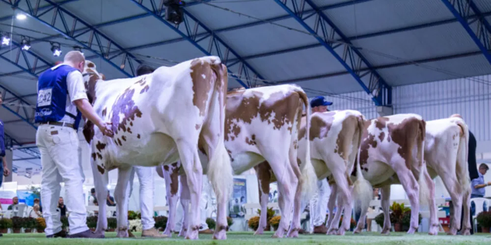 Evento não aconteceu de forma presencial em 2020 e nem em 2021