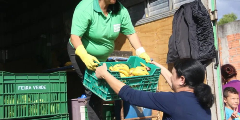 Programa Feira Verde acontece de segunda a sexta-feira, das 8 às 16 horas