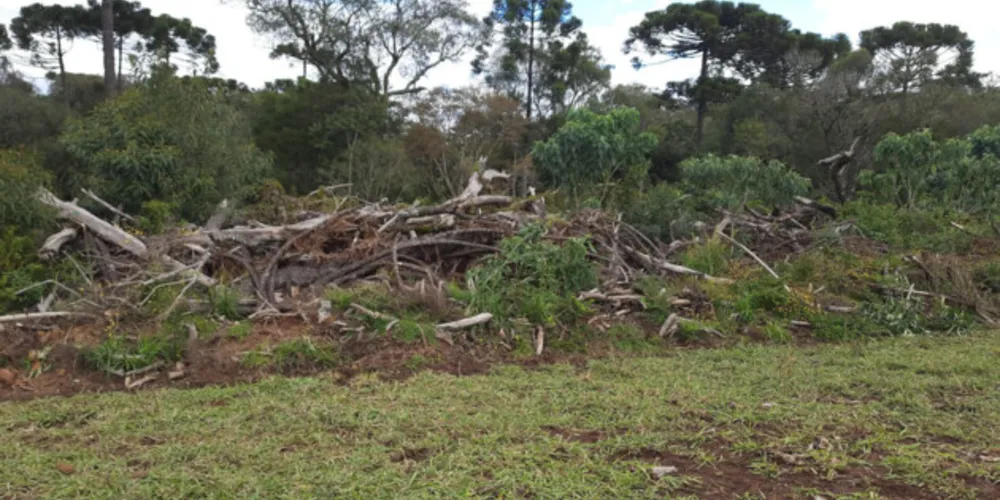 Fiscalização do IAT identifica 336 hectares de desmatamento e resulta em multas de R$2,33 milhões.