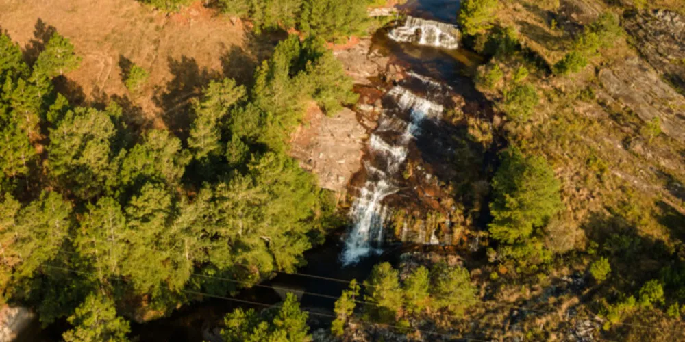 Imagem ilustrativa da imagem Alunos aprendem sobre Parque Nacional dos Campos Gerais