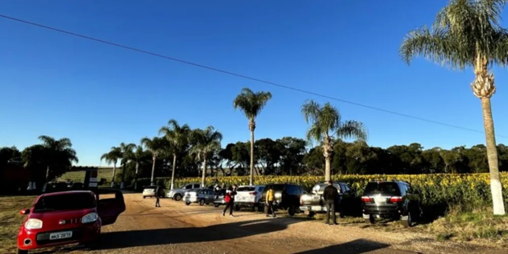 Inúmeras famílias se deslocaram até a Fazenda Dona Mathilde para tirar fotos neste fim de semana