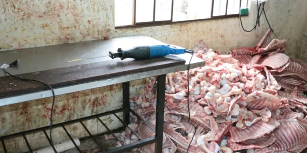 Responsável pelo local foi preso na última sexta-feira (10) após fiscalização da Guarda Municipal