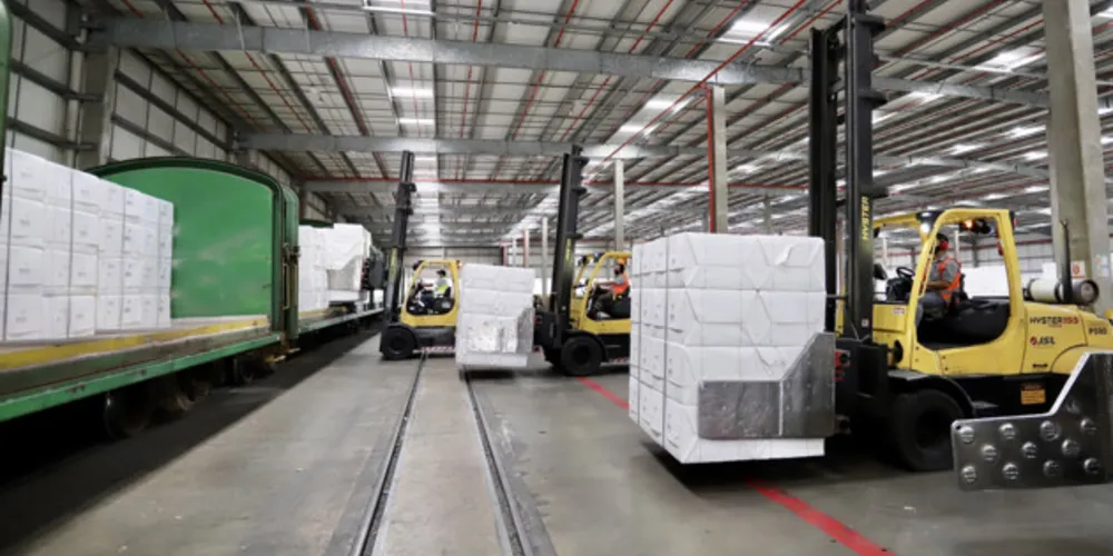 A celulose é o segundo principal produto exportado da região dos Campos Gerais, atrás apenas da soja e seus derivados