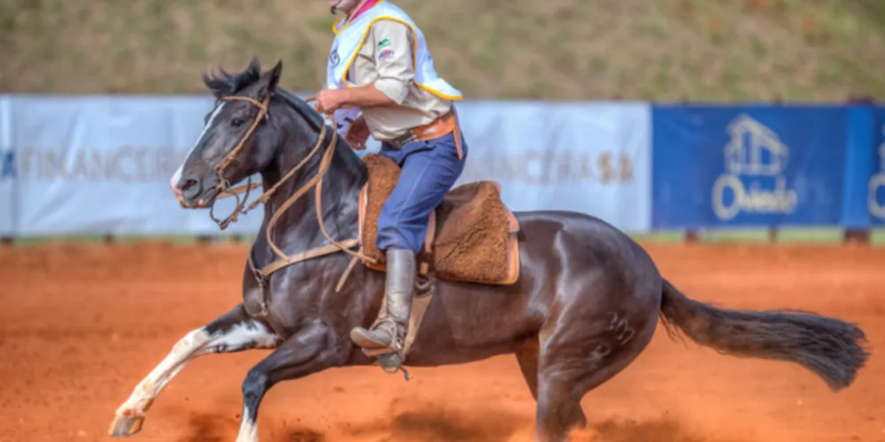 PG classifica 13 exemplares para a final do Freio de Ouro