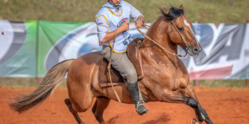 Imagem ilustrativa da imagem Com seletiva em PG, 'Freio de Ouro' define classificados