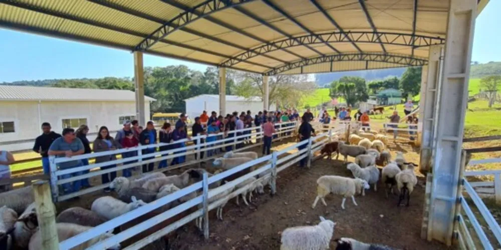'Dia de Campo' reuniu mais de 40 produtores na última semana, com apoio da Coopegera