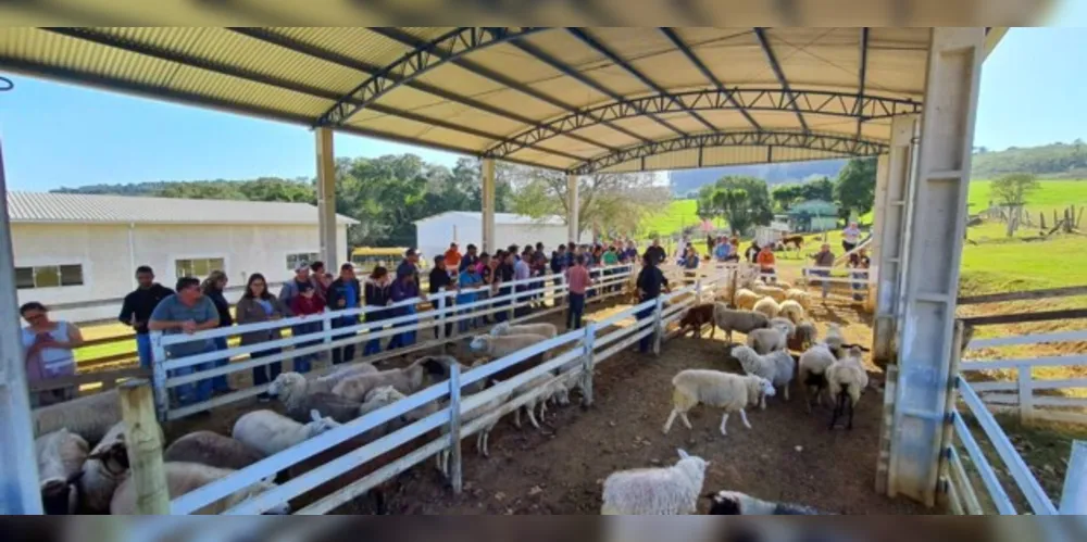 'Dia de Campo' reuniu mais de 40 produtores na última semana, com apoio da Coopegera