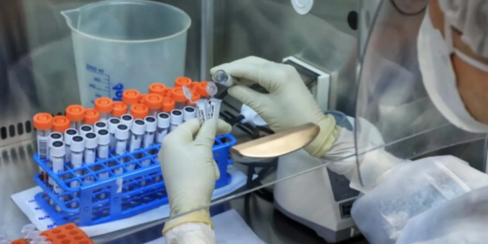 Variante foi identificada em amostras de uma mulher de 59 anos