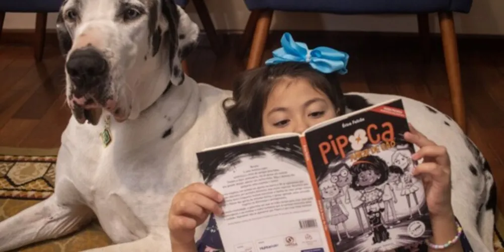 Cinco mil exemplares do livro estão disponíveis nas 16 cidades onde o Pegaí está presente