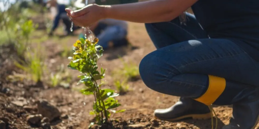 Ação foi lançada em abril deste ano