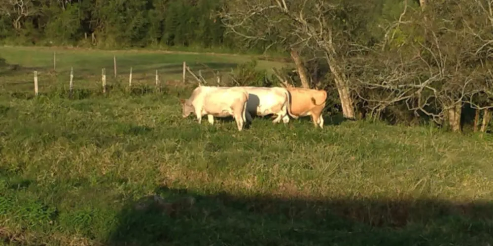 Convênio de cooperação técnica tem apoio do Instituto de Desenvolvimento Rural do Paraná (IDR-PR)