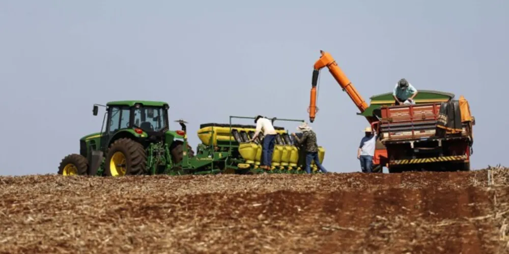 Do total de recursos disponibilizados, R$ 246,28 bilhões serão destinados ao custeio e comercialização, uma alta de 39% em relação ao ano anterior