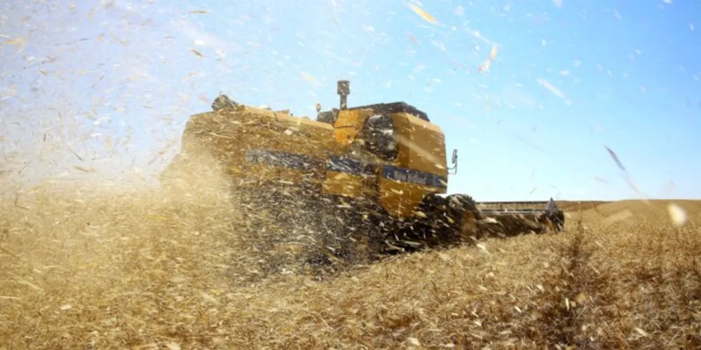 Valor alcançado em 2021 foi recorde na região