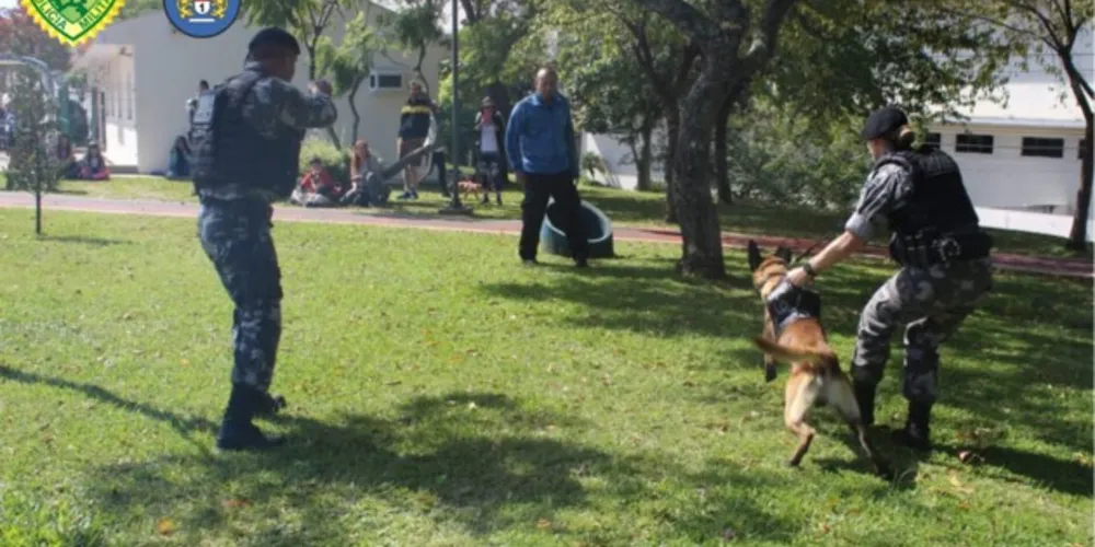 Polícia Militar realizou  a 2° edição do cãominhada