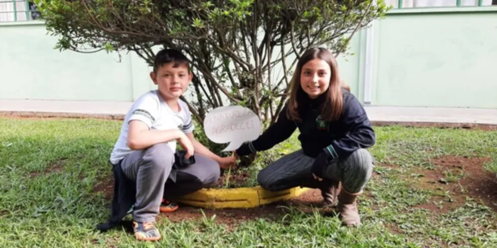 Práticas foram além dos conteúdos estudados, proporcionando ações assertivas