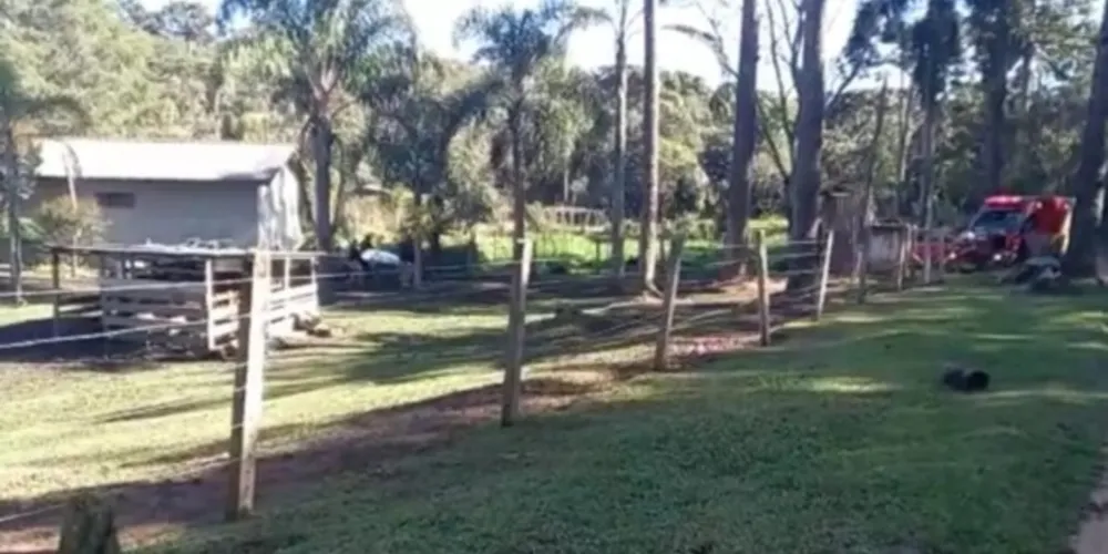 A princípio, a mulher teria ido tirar leite da vaca e o animal teria se descontrolado e pisoteado a vítima
