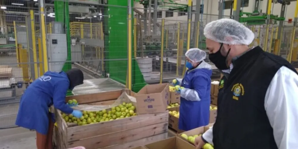 Delegacia Sindical dos Auditores Fiscais Federais Agropecuários ressalta a necessidade de profissionais para fiscalizar esses produtos