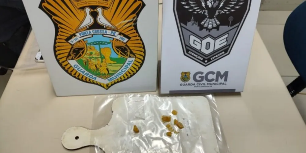 Situação foi atendida pela equipe GOE Alfa da Guarda Municipal, na rua Balduino Taques