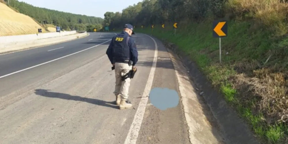 Parte de um corpo foi localizada pela PRF no acostamento da rodovia e IML buscará identificação da vítima