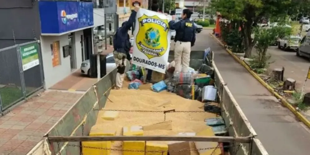 A maconha estava em uma carreta que supostamente transportava soja