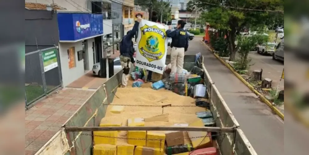 A maconha estava em uma carreta que supostamente transportava soja