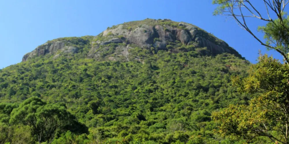 IAT alerta que é proibido acender figueiras em Unidades de Conservação - Na foto, Parque Estadual Serra da Baitaca, na Região Metropolitana de Curitiba.