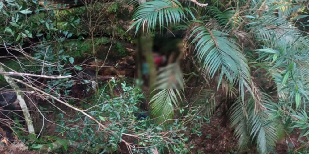 Caso aconteceu na na Estrada Velha para Castro, próximo ao condomínio Alphaville