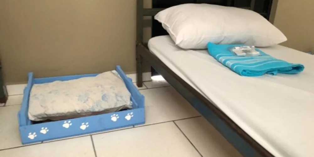 O espaço conta com estrutura para banho e também com abrigo para animais de estimação.  Nesta primeira noite, 25 pessoas foram acolhidas.