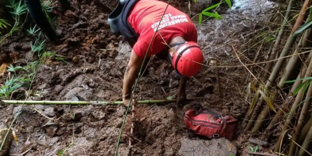 Corpo de Bombeiros localizou, nesta segunda-feira (2), uma ossada em uma área chamada Esperança 1