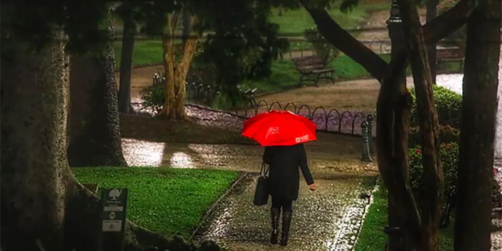 A doença, causada pela bactéria leptospira, é comumente encontrada na urina de ratos.