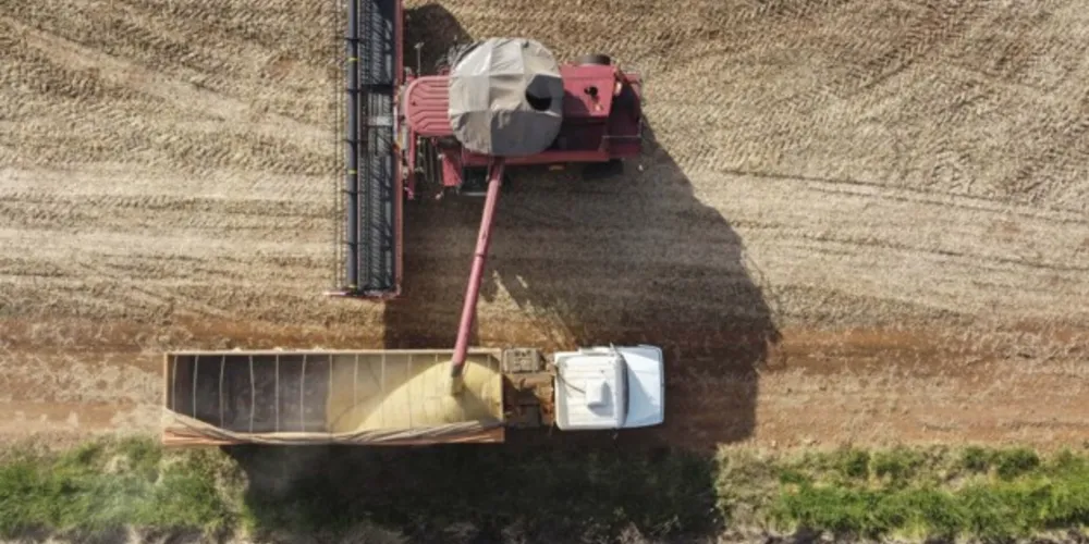 Mesmo sendo bastante afetada pelo clima, safra ode somar 36,86 milhões de toneladas