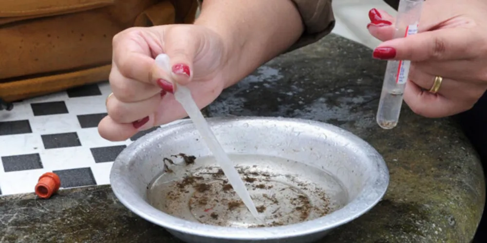 Nove óbitos por dengue são registrados no PR