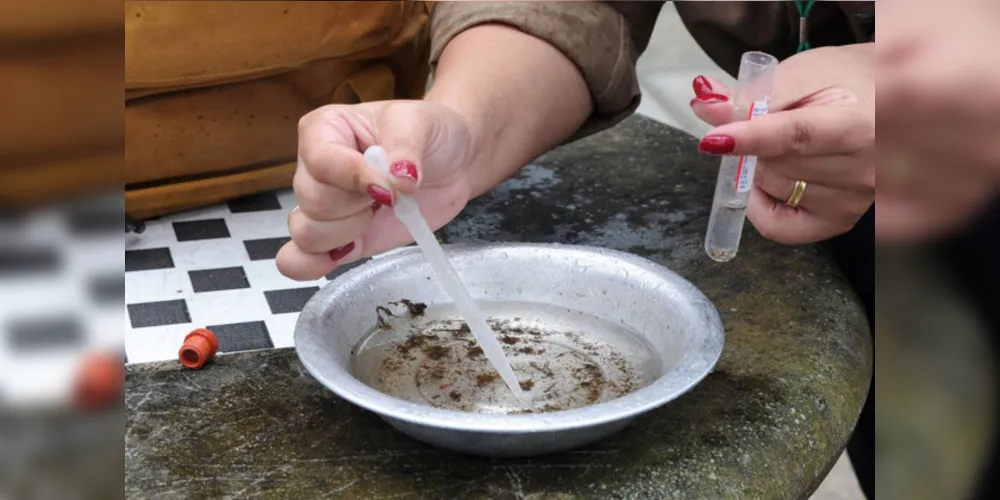 Nove óbitos por dengue são registrados no PR