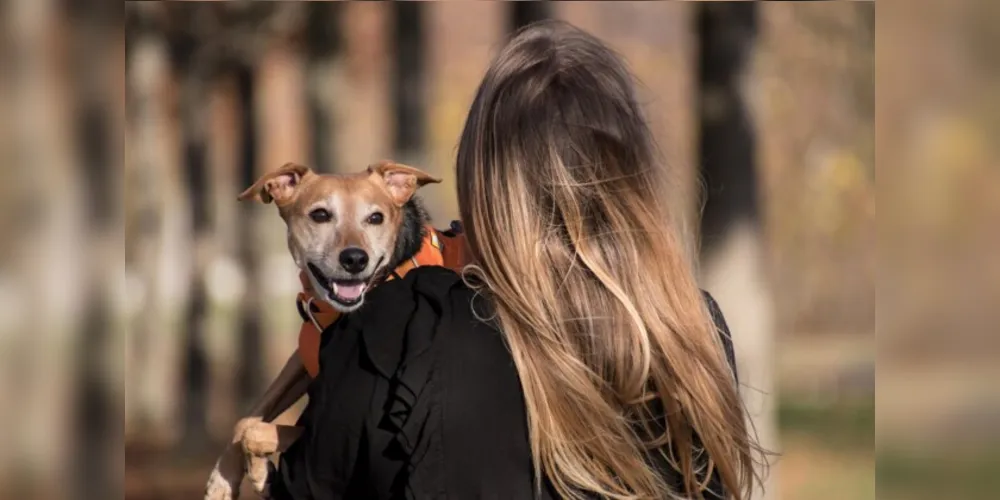 País tem quase 140 milhões de animais de estimação