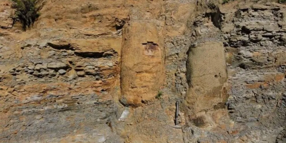 Área em que fósseis de árvores foram encontrados após abertura de estrada em Ortigueira, no Paraná