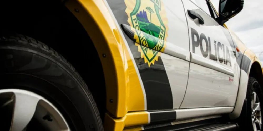 Homem com mandado de prisão comete furto em PG