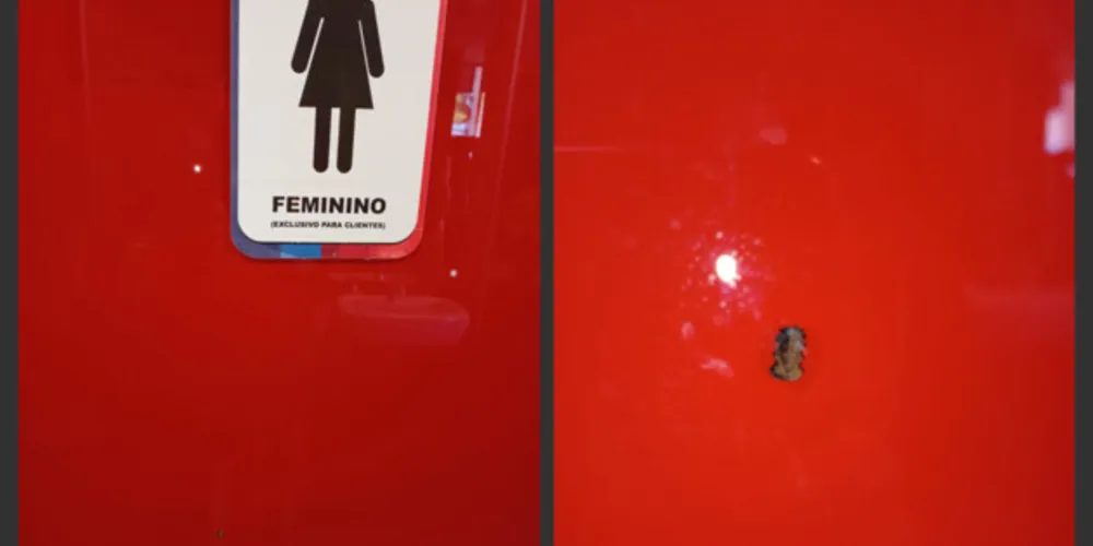 Advogada fez fotos da porta de vidro do banheiro