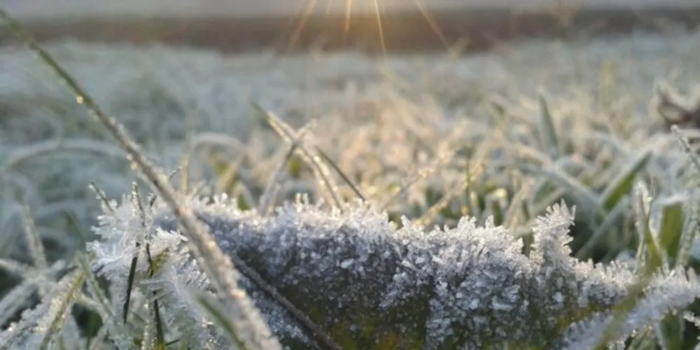 Baixa temperatura provoca geada na região.