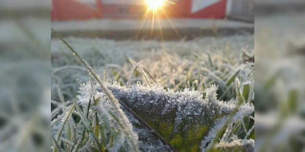 Baixa temperatura provoca geada na região.