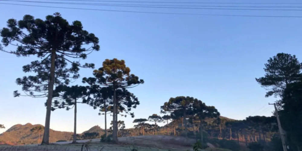 Previsão alerta para ocorrência de geada