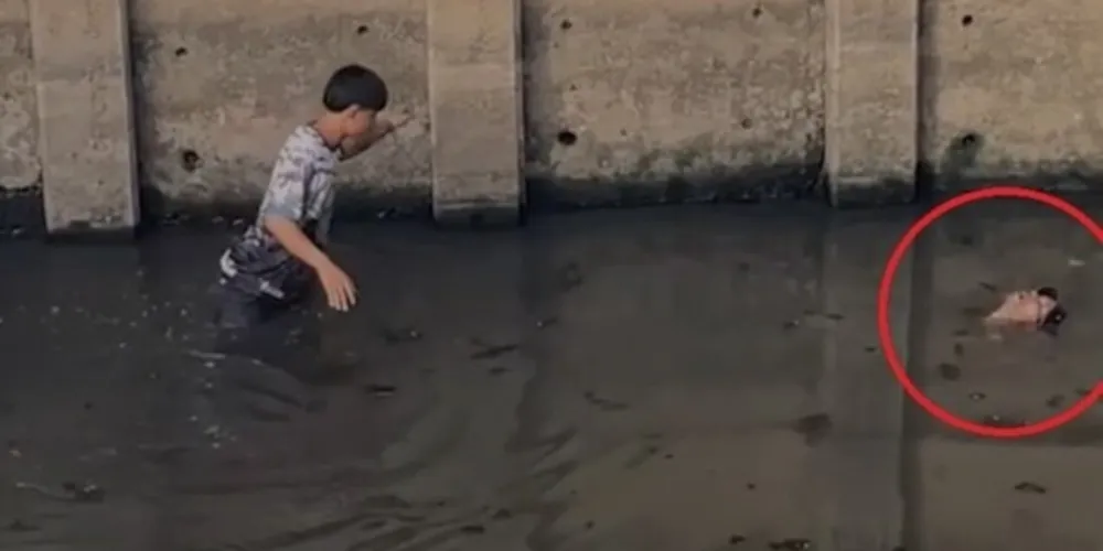 Caso assustou e mobilizou diversas pessoas em Bangkok, capital da Tailândia