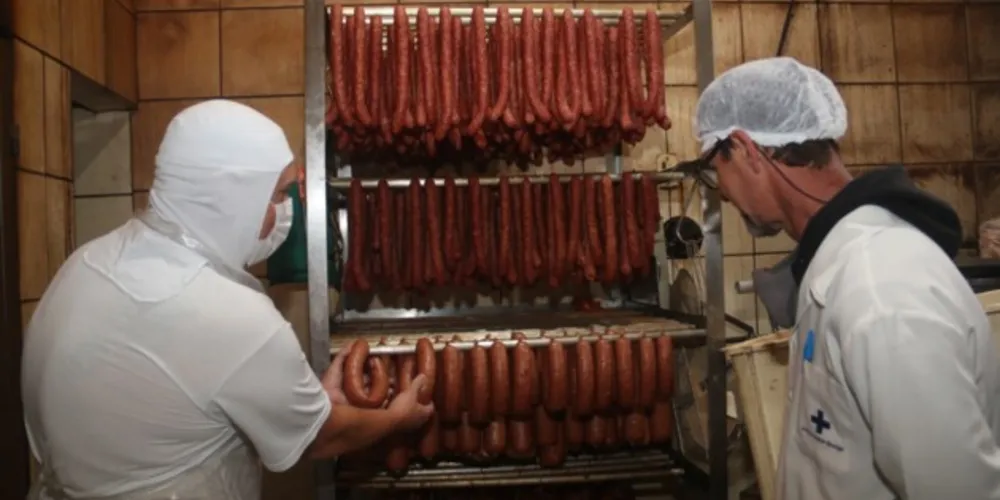 Denúncias podem ser feitas pelo telefone 156 ou pela internet